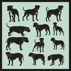 set of dogs, American Bullweiler Dog