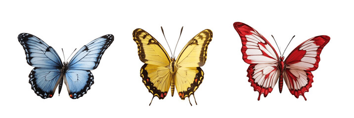 butterflies isolated on transparent background