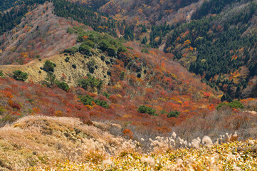 涌蓋山登山「涌蓋山山頂から望む紅葉」