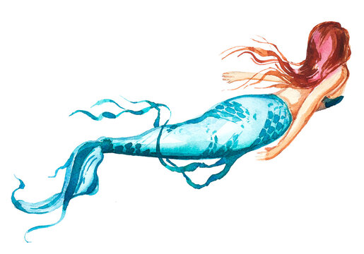 Mermaid painting.Watercolor fantastic under the sea creature artwork. Hand painted mermaid clipart isolated.