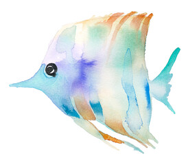 Fish painting. Watercolor sea or ocean creature artwork.