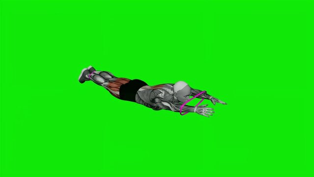 The Superman exercise with a rubber band for lower back and thigh muscle development.