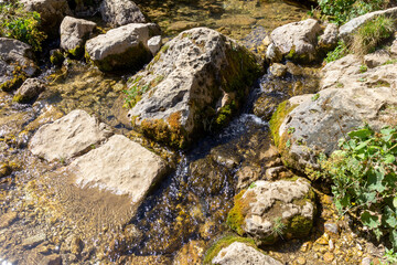 walking along the bed of a mountain river with a visit to unexplored places of the sources of drinking water
