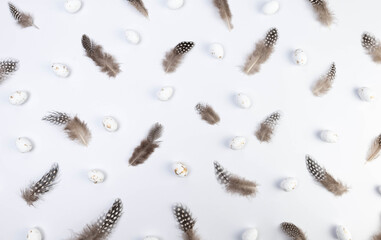 Top view of brown feathers, white easter eggs on white background. Creative easter composition, spring, copy space, flat lay. 