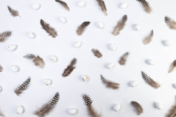 Top view of brown feathers, white easter eggs on white background. Creative easter composition, spring, copy space, flat lay. 