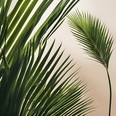 Seamless Background With Palm Trees