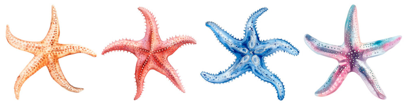 Set of watercolor starfish. Isolated on a transparent background.