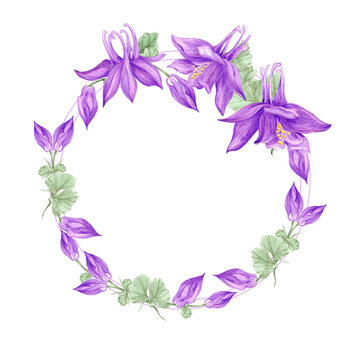Hand drawn watercolor purple aquilegia flowers wreath frame border isolated on white background. Can be used for cards, label, scrapbook and other printed products.