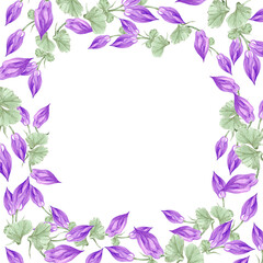 Hand drawn watercolor purple aquilegia flowers frame border isolated on white background. Can be used for cards, label, scrapbook and other printed products.