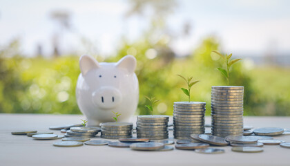 Business Finance and Money concept, Save money for prepare in the future. Trees growing on...