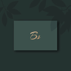 Bs logo design vector image