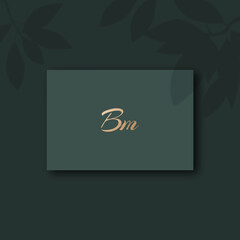Bm logo design vector image