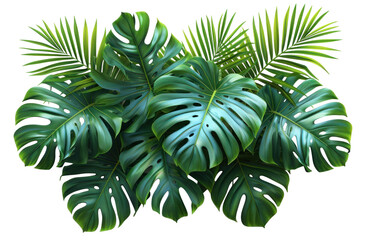 Green leaves isolated png