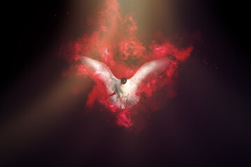 Flying seagull. Art wildlife. Dark background. 