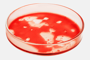 Red liquid, blood, hemoglobin or blood tests in a Petri dish on a light background.