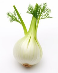 Fresh Fennel Bulb A Versatile Ingredient for Delicious Recipes