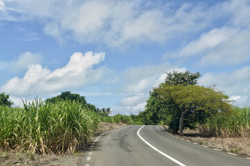 Fototapeta na wymiar Landscape in rural Mauritius