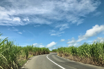 Fototapeta premium Landscape along Trou d‘eau Douce Road in rural Mauritius
