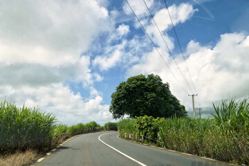 Landscape near Bon Accueil in rural Mauritius