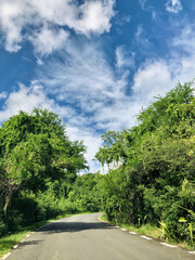 Fototapeta na wymiar Landscape near Chamarel in southern Mauritius