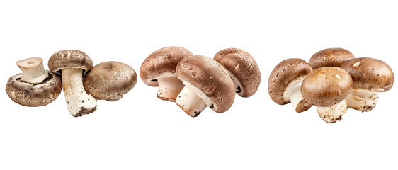Brown champignon or portobello mushroom isolated transparent background