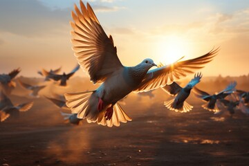 A mesmerizing scene of a flock of white doves taking flight against the golden sunrise, symbolizing hope and peace. - obrazy, fototapety, plakaty