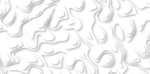  3d render, abstract white paper background. Paper cut vector art background banner texture. multi layer cutout geometric pattern on vector, Abstract soft white background with waves.