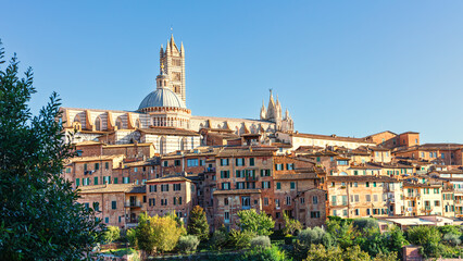 Panorama der Altstadt von Siena mit Dom - obrazy, fototapety, plakaty