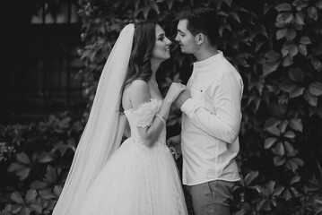 Groom holds the bride's hand, and they gaze into each other's eyes