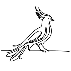 A phoenix bird, in line drawing style