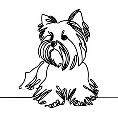 Yorkshire Terrier, in a line drawing style