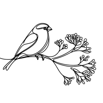 recommend clip art: Goldfinch sitting on a branch of rowan tree, line drawing style