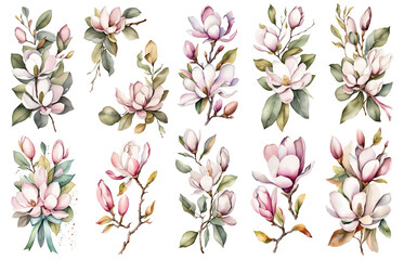 Set of floral elements. Rose, Peony, Poppy, Magnolia, Protea. Flower and green leaves. Wedding invitation. Floral poster, invite. Arrangements for greeting card or invitation design. Watercolor