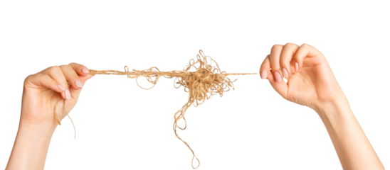 female hands stretch a wound ball of thread. On an empty background.