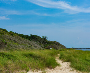Fototapeta na wymiar Springer's Point Path on Ocracoke Island, North Carolina