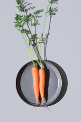Dos zanahorias frescas crudas en un plato gris. Vista superior