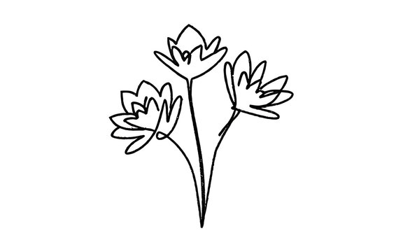 A minimalist, artistically rendered image of a small bouquet of flowers using simple, single lines. Emphasize the beauty of the flowers with graceful, flowing lines, while keeping the overall style cl