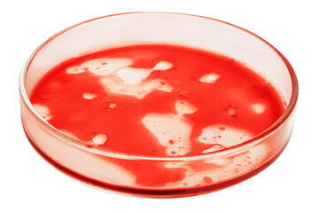 Petri dish with bloody red liquid. On a blank background