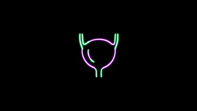 Futuristic glowing low polygonal human bladder medical science concept animation. Neon glowing bladder animation. Part of human urinary system on the black background.