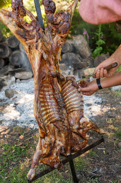 Cutting the lamb ribs on the spit to serve on plates. Argentine barbecue, Patagonia.