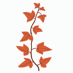 Floral ivy drawing decorative ornament flat design.