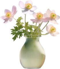 A vase of Wood Anemone flowers, a watercolor painting of a vase of Wood Anemone flowers.