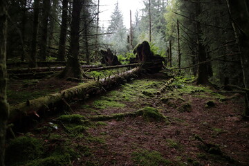 Three lochs drive, Aberfoyle, scottish highlands