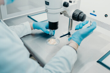 artificial insemination embryos under a microscope