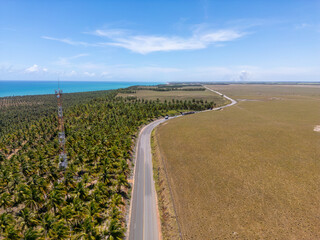 Fototapeta premium Aerial photo of Praia Do Gunga in Alagoas Northeast of Brazil