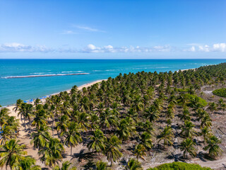 Aerial photo of Praia Do Gunga in Alagoas Northeast of Brazil