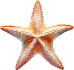Starfish, a Watercolor painting of a starfish.