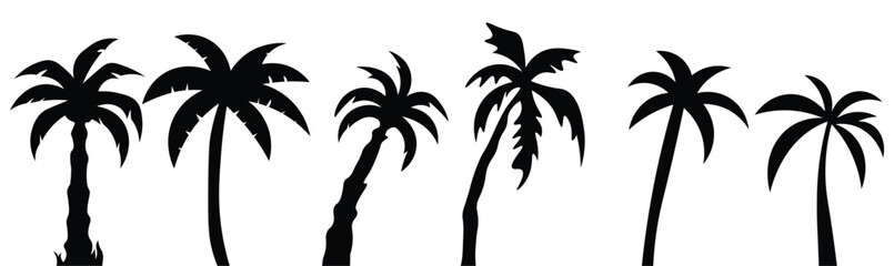 Fototapeta na wymiar Tropical palm trees vector set. Summer silhouette Black palm tree icon symbol vector sign isolated on white background. Vector illustration.