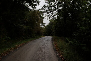 Three lochs drive, Aberfoyle, scottish highlands