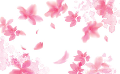 桜の水彩画　ふわふわ優しい手描き風イラスト